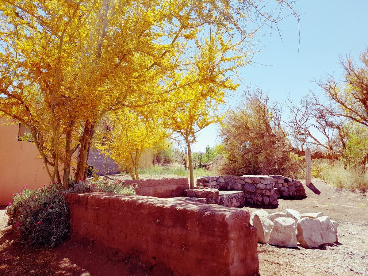 Lodge Don Felix San Pedro De Atacama Esterno foto